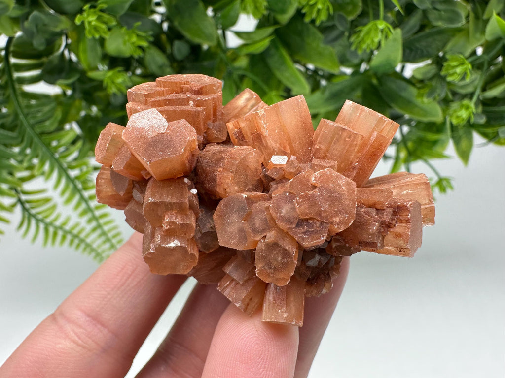 Aragonite Sputnik Cluster: Raw Moroccan Crystal Stone, Home Decor