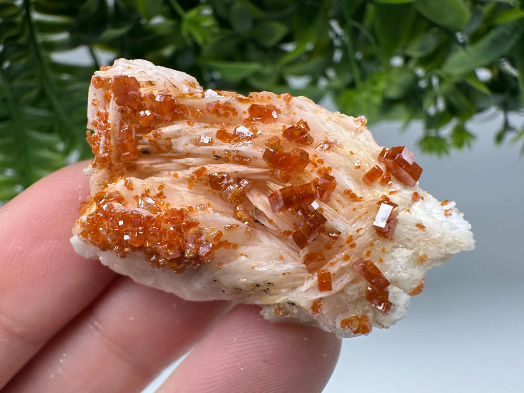 Red Vanadinite Crystal Cluster on Barite, Morocco Mineral Specimen