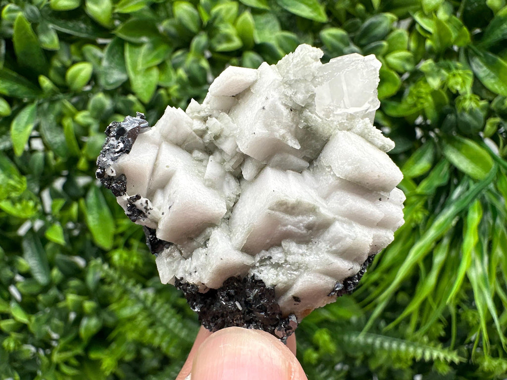 Stunning Shpinel Galena on Sphalerite,Calcite from Borieva mine,Madan,Bulgaria,Natural,collectible mineral specimen,home decor,collectible’s
