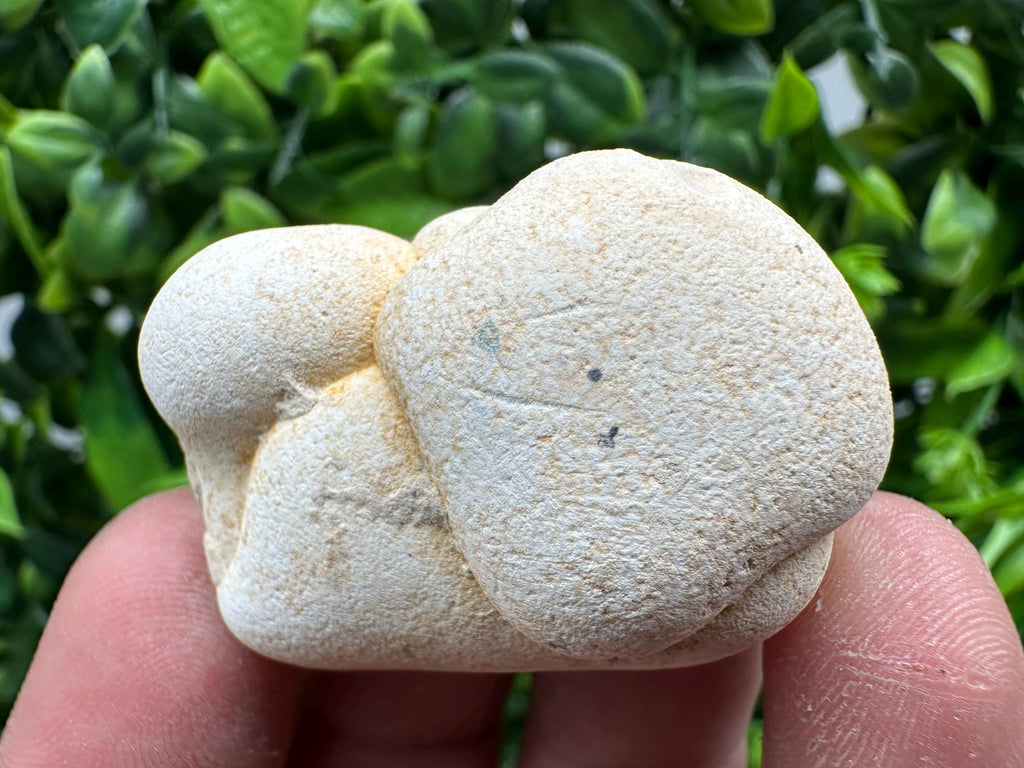 Menalite Crystal: White Fairy Stone, Moroccan A+ Grade