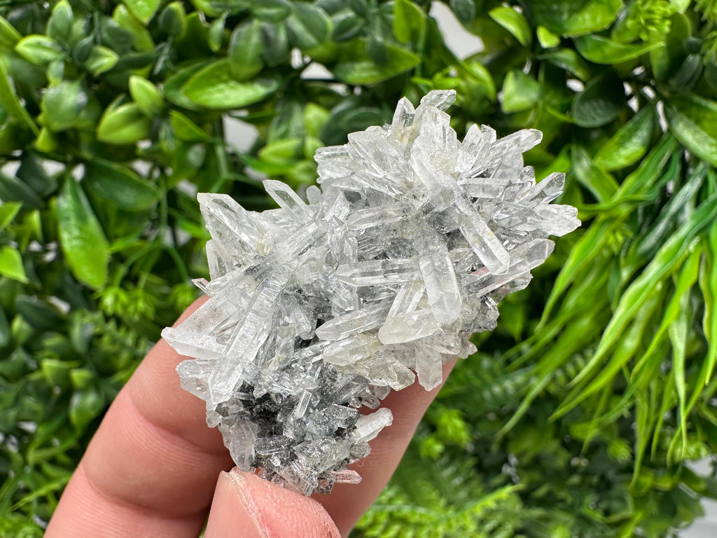 Quartz with Epidote Specimen: Borieva Mine, Bulgaria