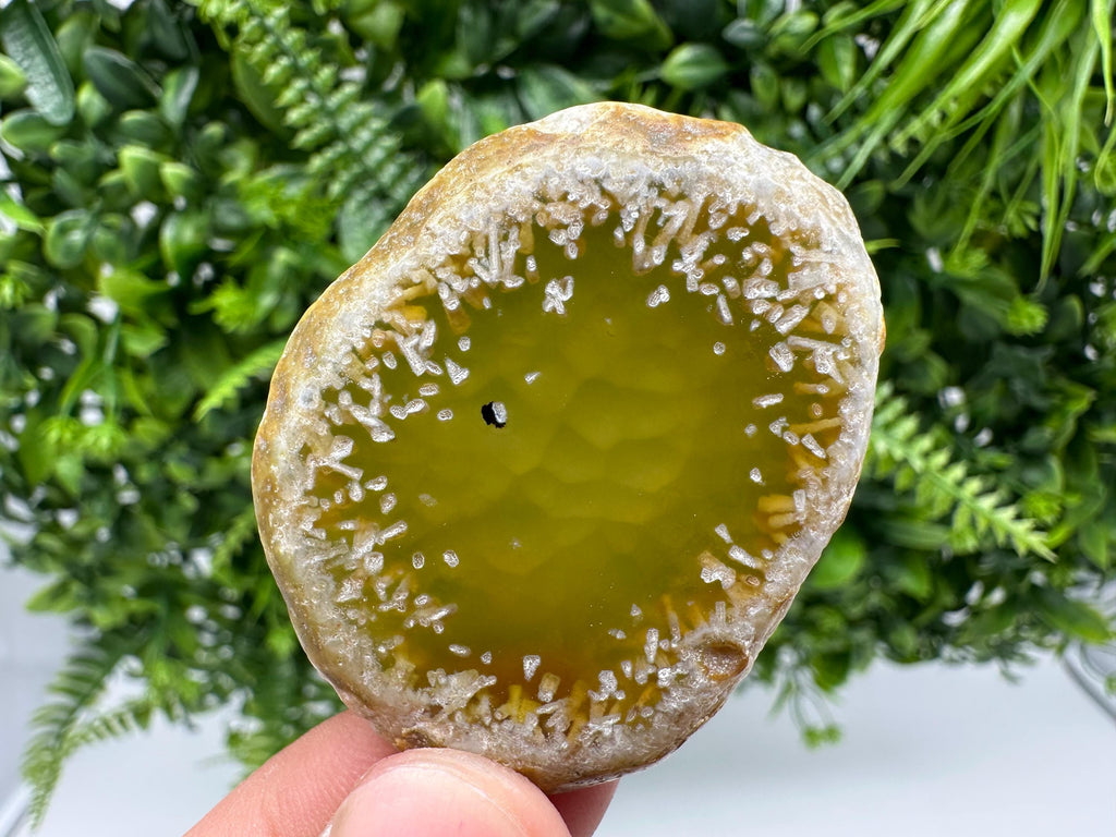 Agate Slice: Spiritual Healing Crystal Coaster Ornament