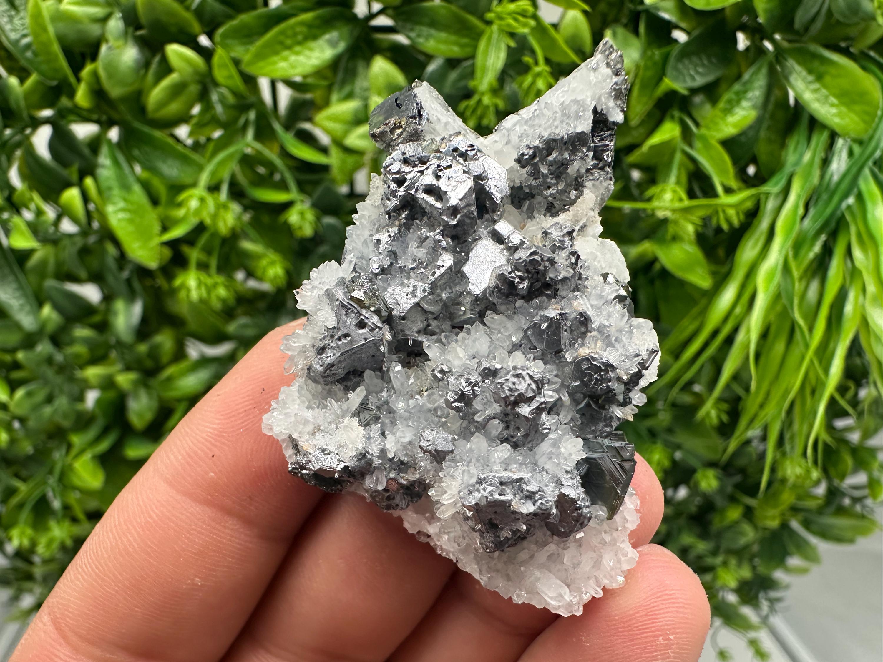 Rare Galena Sphalerite Pyrite Mineral Specimen: Krushev Dol Mine, Bulgaria
