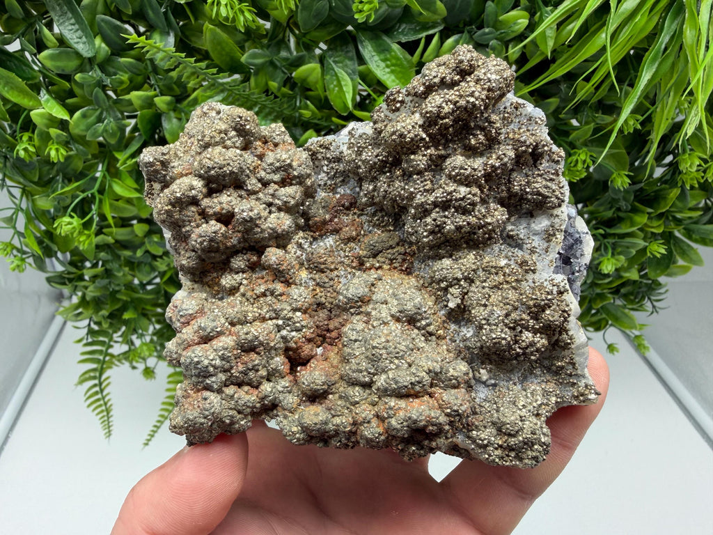 Marcasite on Chalcedony, Androvo Mine, Bulgaria