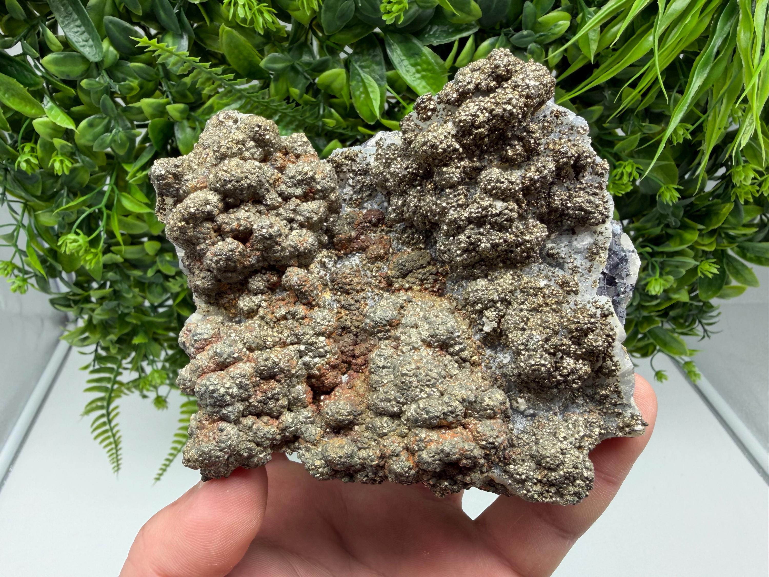 Marcasite on Chalcedony, Androvo Mine, Bulgaria
