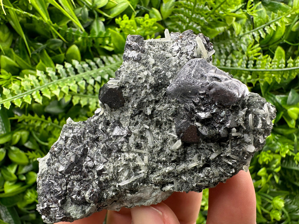 Galena Sphalerite Quartz Mineral Specimen, Borieva Mine Bulgaria