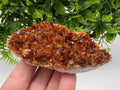 Brazilian Citrine Crystal Cluster with Hematite Inclusions