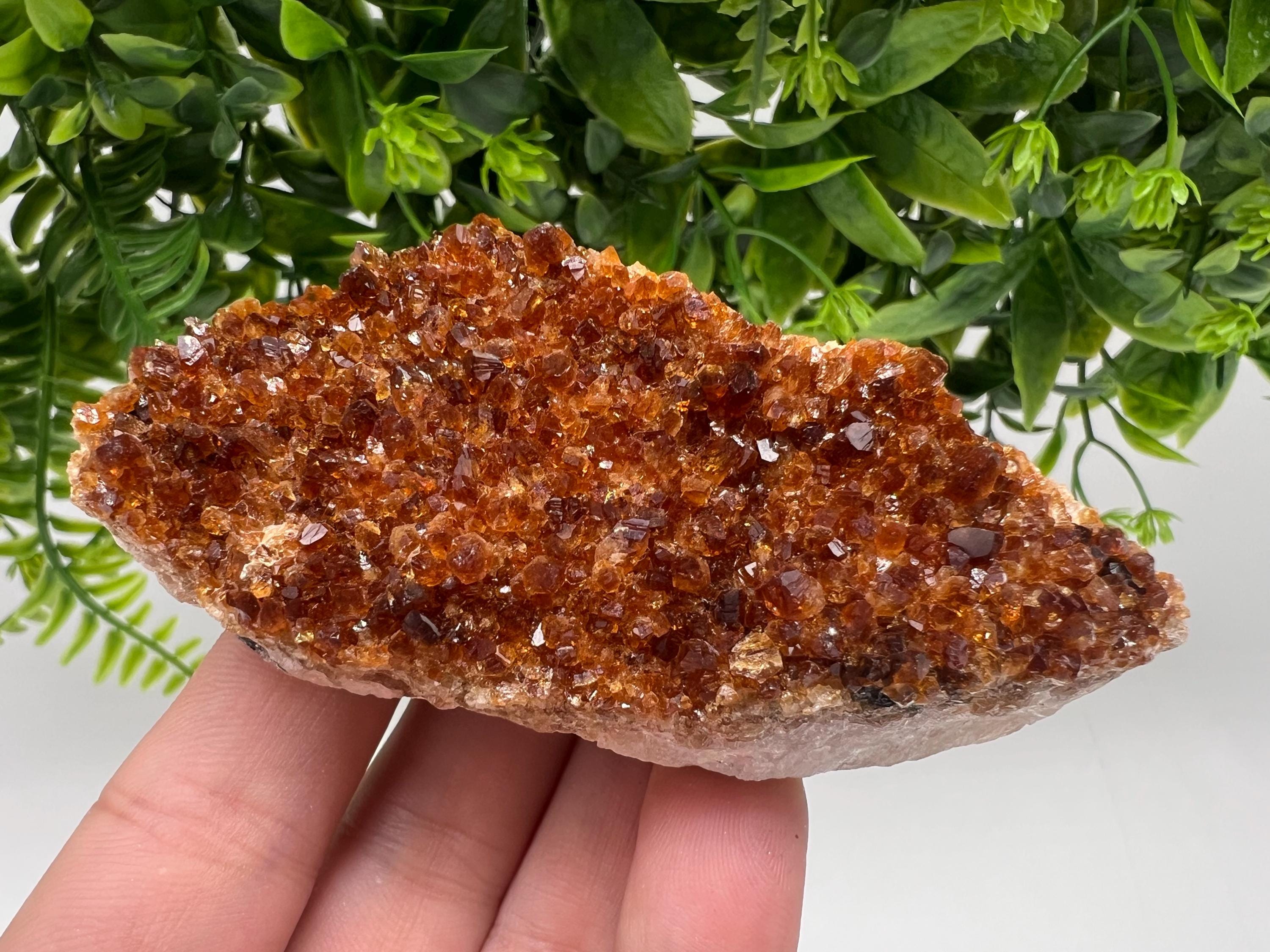 Brazilian Citrine Crystal Cluster with Hematite Inclusions