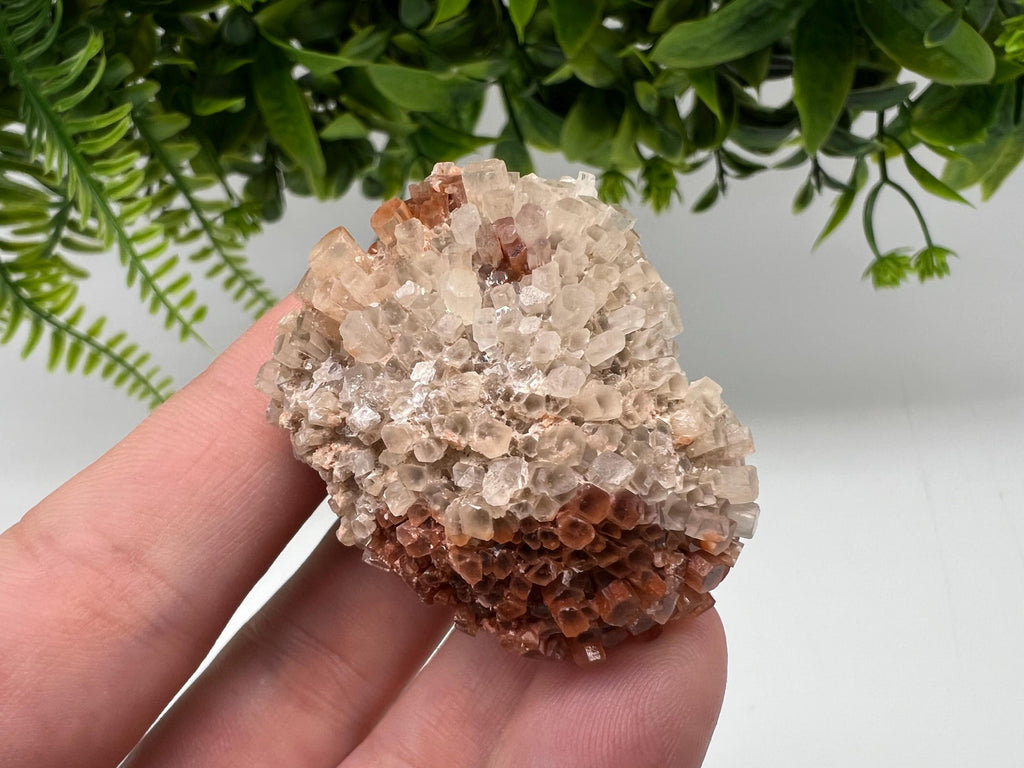 Extra Large Aragonite Sputnik Cluster: Moroccan Raw Crystal Stone