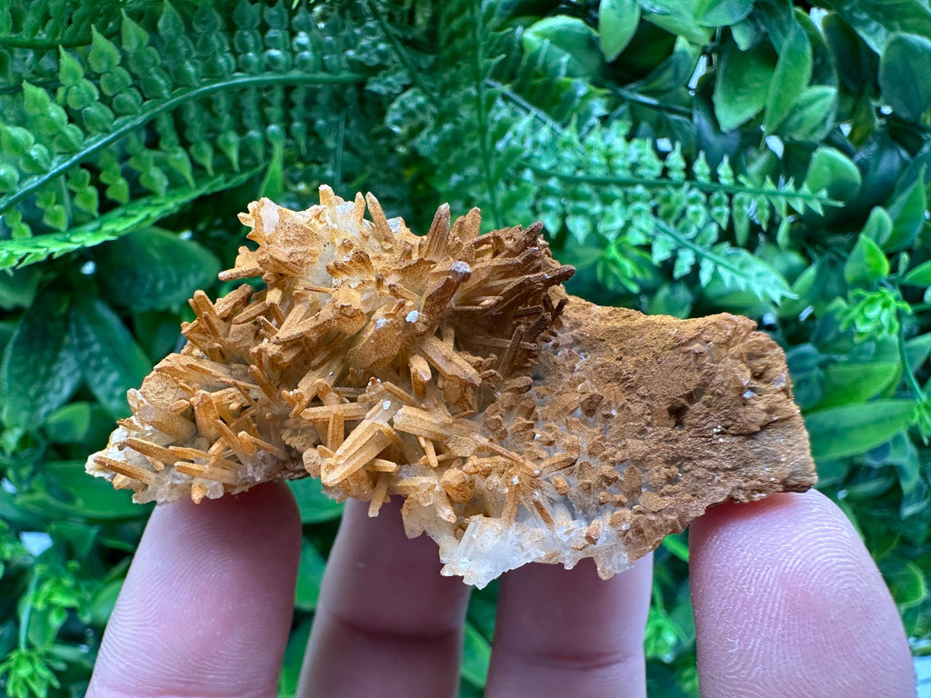 Limonite Coated Quartz Crystal - Iron Oxide Mineral Specimen