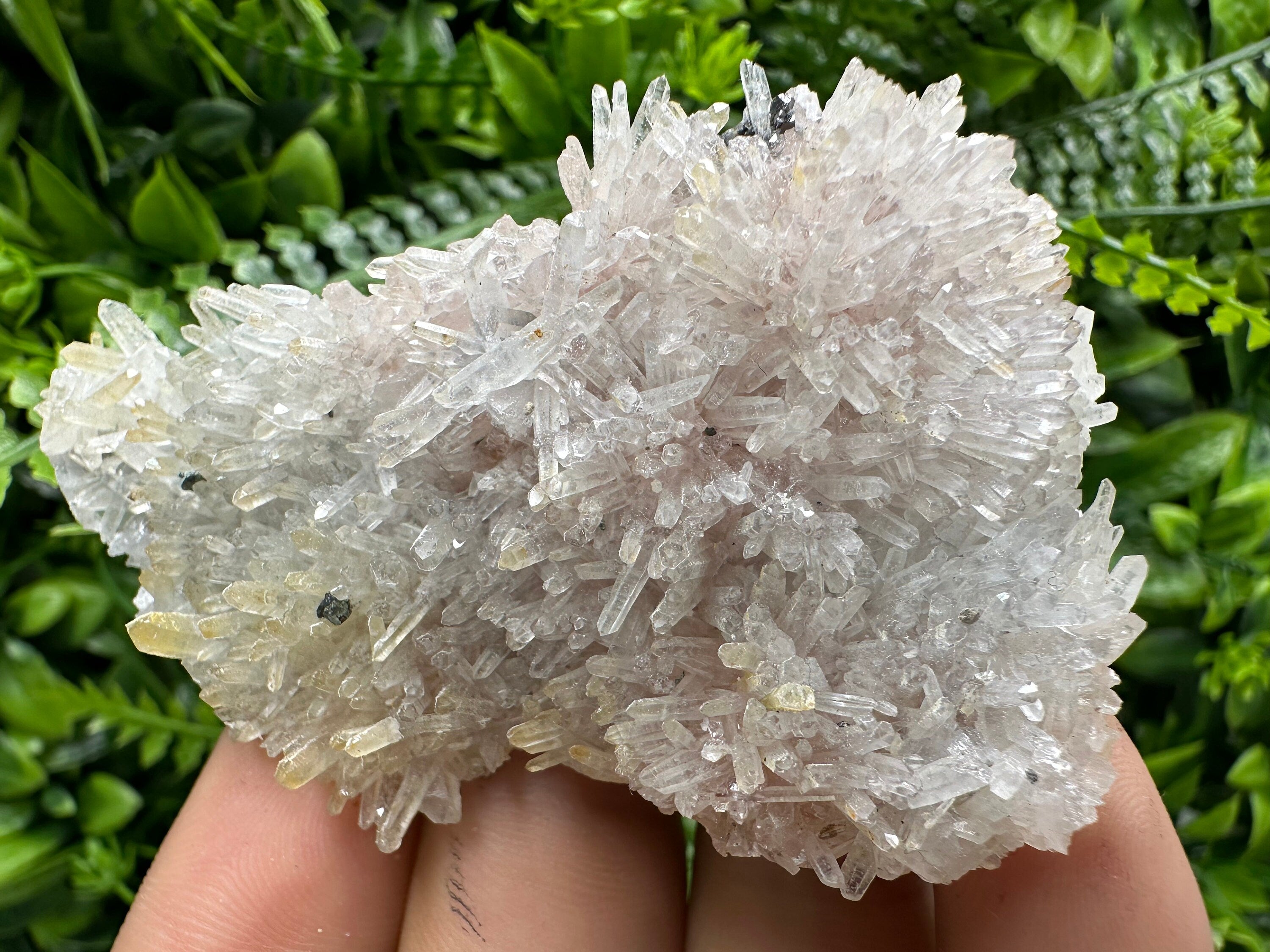Quartz with Chlorite and Hematite Inclusions: Borieva Mine Crystal Decor