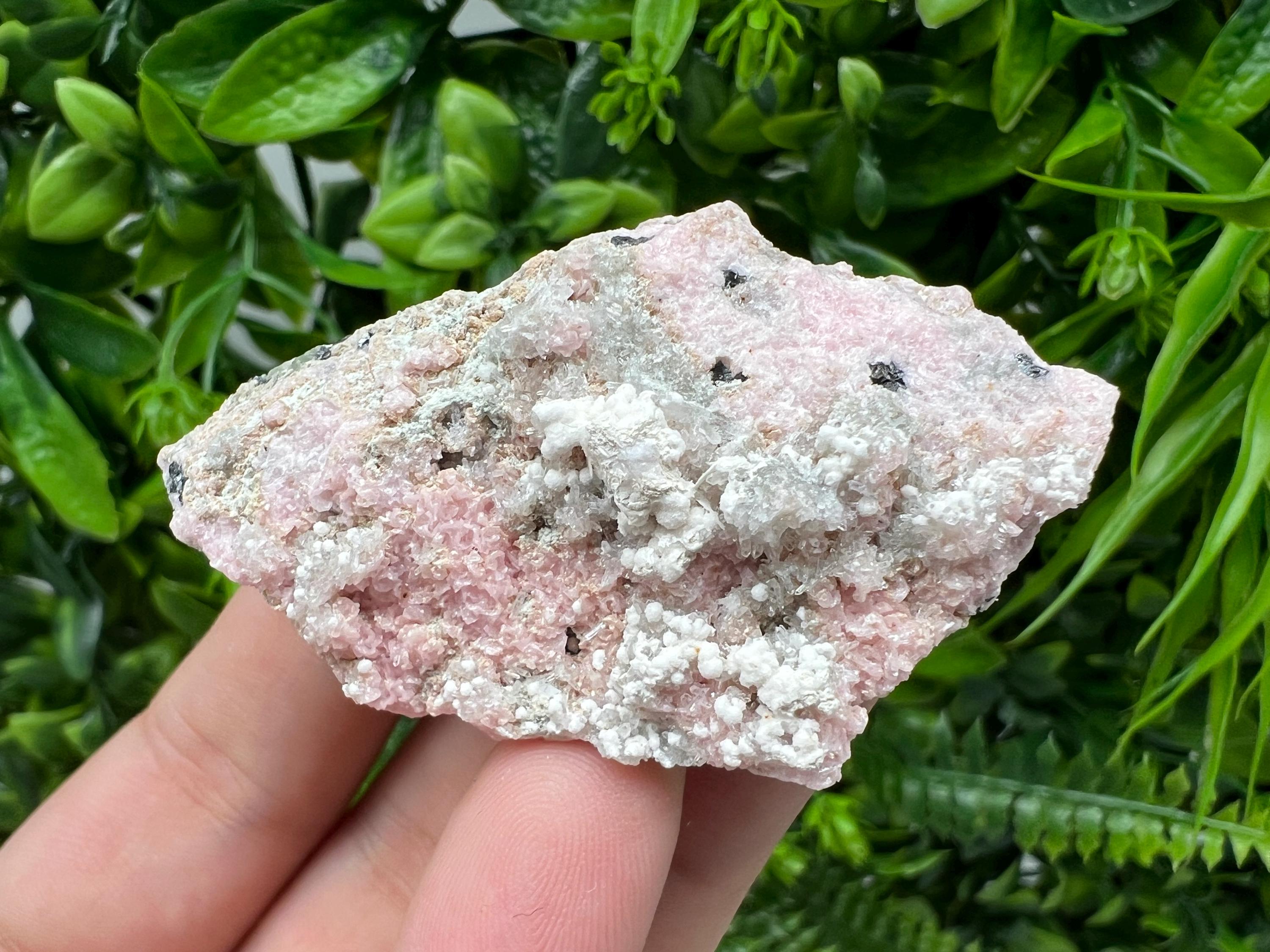 RARE Rhodochrosite with Calcite, Starnica Mine, Bulgaria