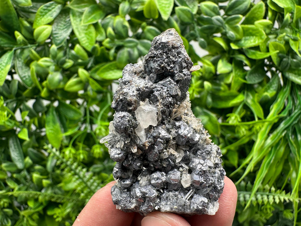 Galena with Quartz and Calcite, Borieva Mine Mineral Specimen