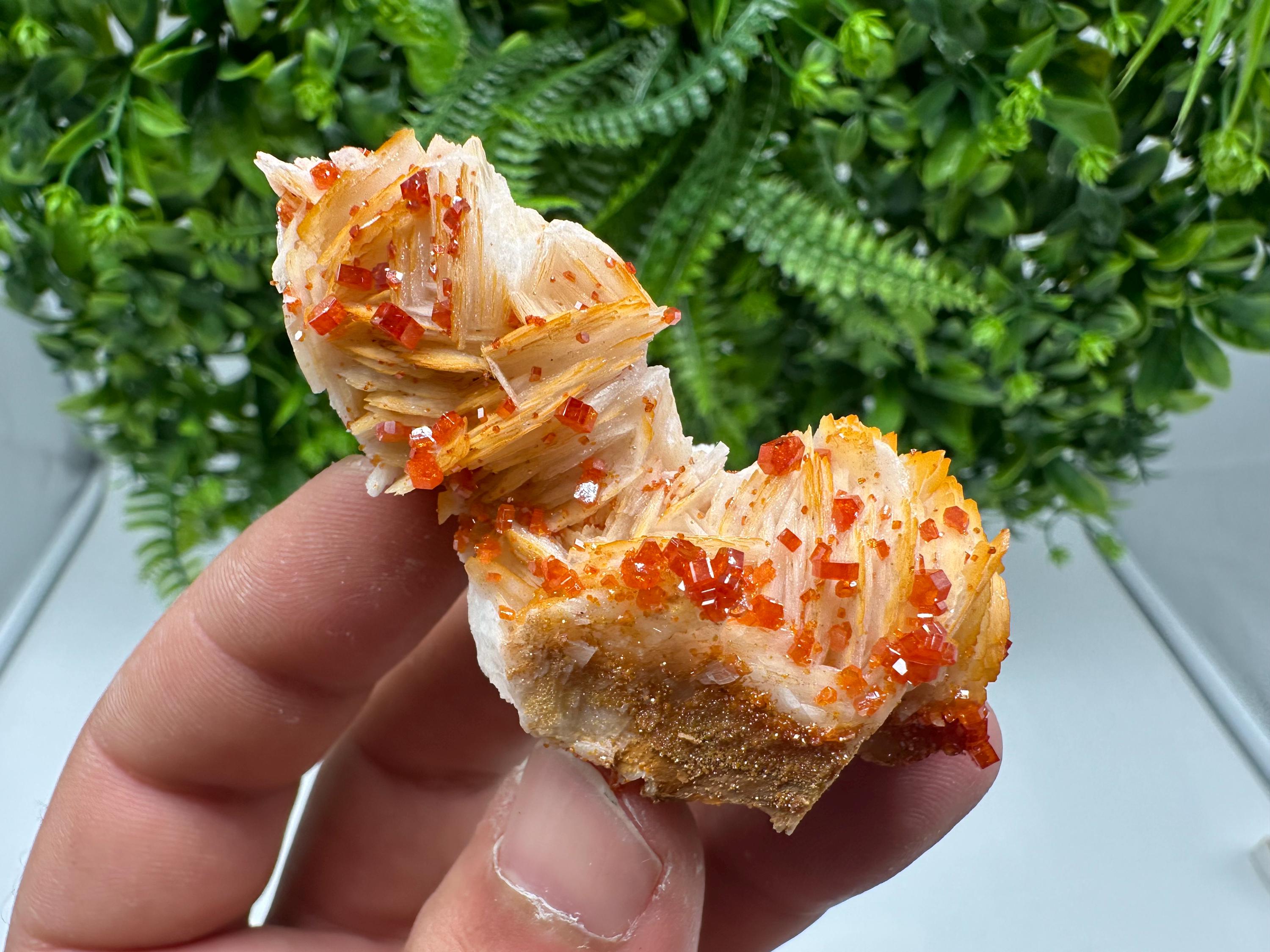 Red Vanadinite on Barite from Marocco,crystal minerals Speciment cluster Vanadinite crystal Vanadinite Geology Vanadinite cluster minerals