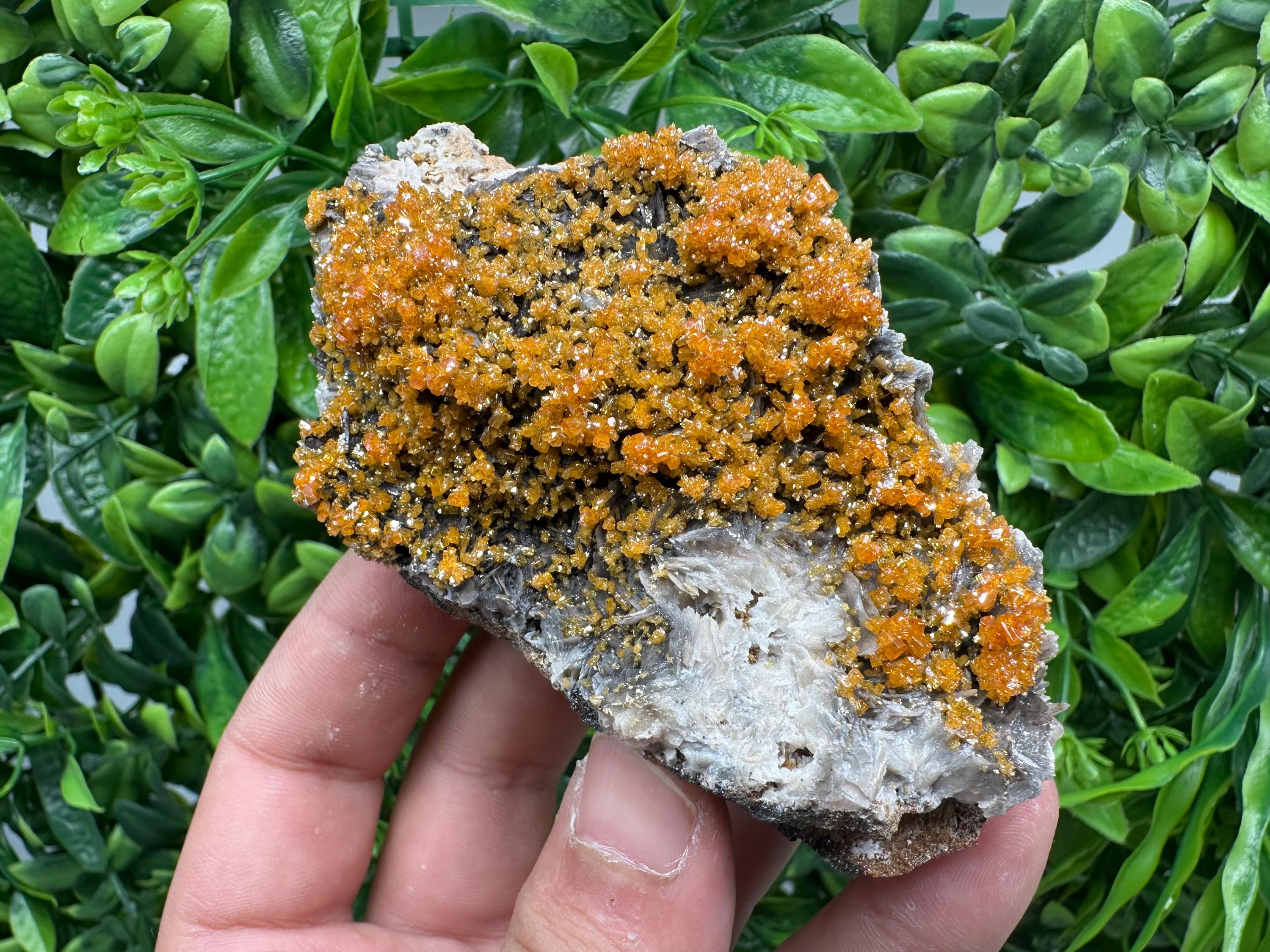 Rare Red Vanadinite Crystal Cluster on Barite with Goethite, Morocco