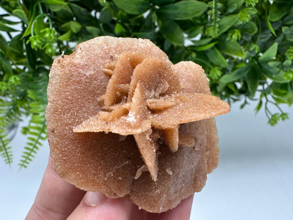 Natural Desert Rose Crystal - Root Chakra Healing Selenite Stone