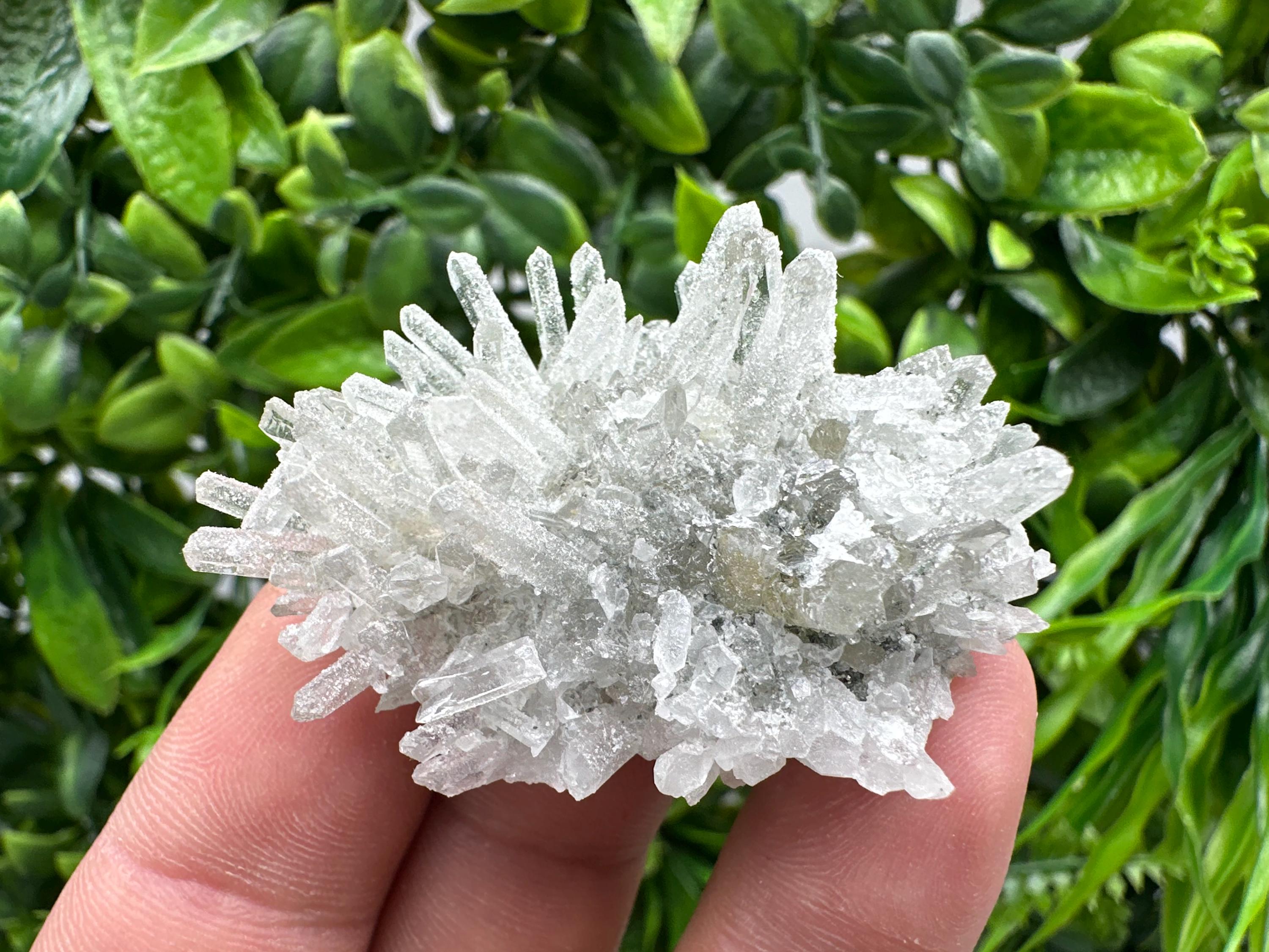 Transparent Quartz on Chlorite Matrix, Borieva Mine, Bulgaria