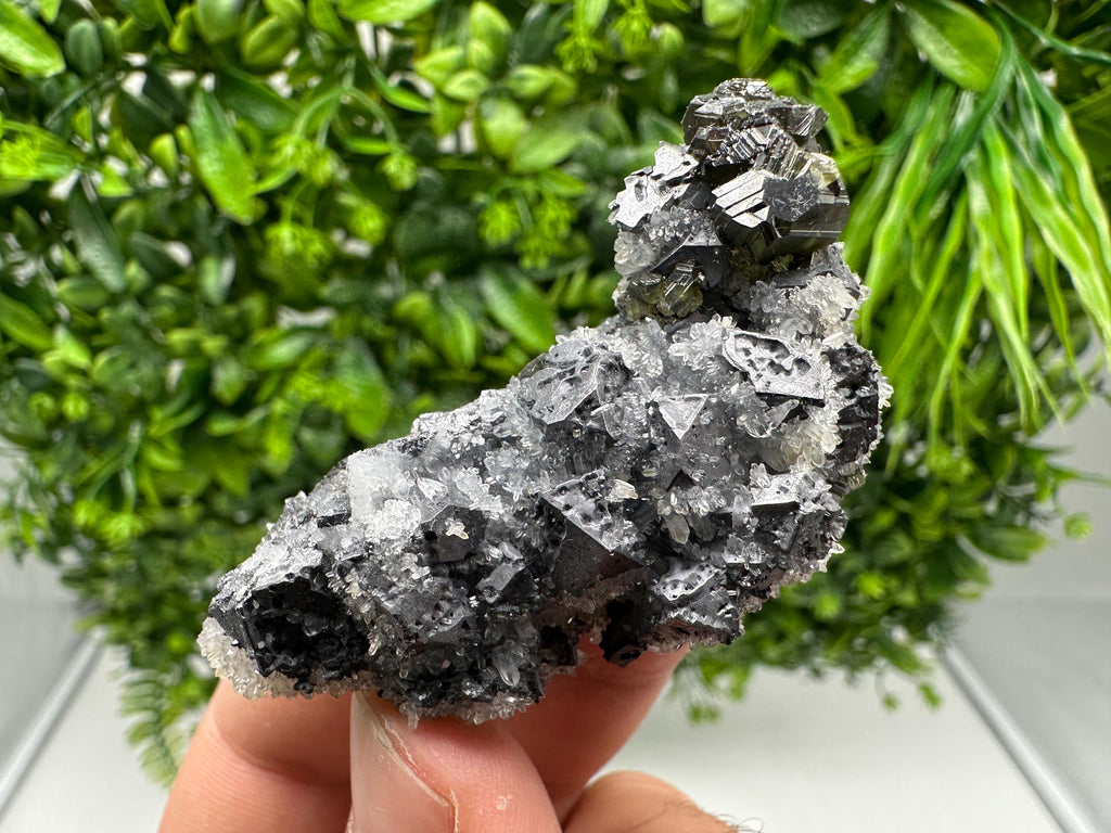 Rare Galena Sphalerite Pyrite Mineral Specimen: Krushev Dol Mine