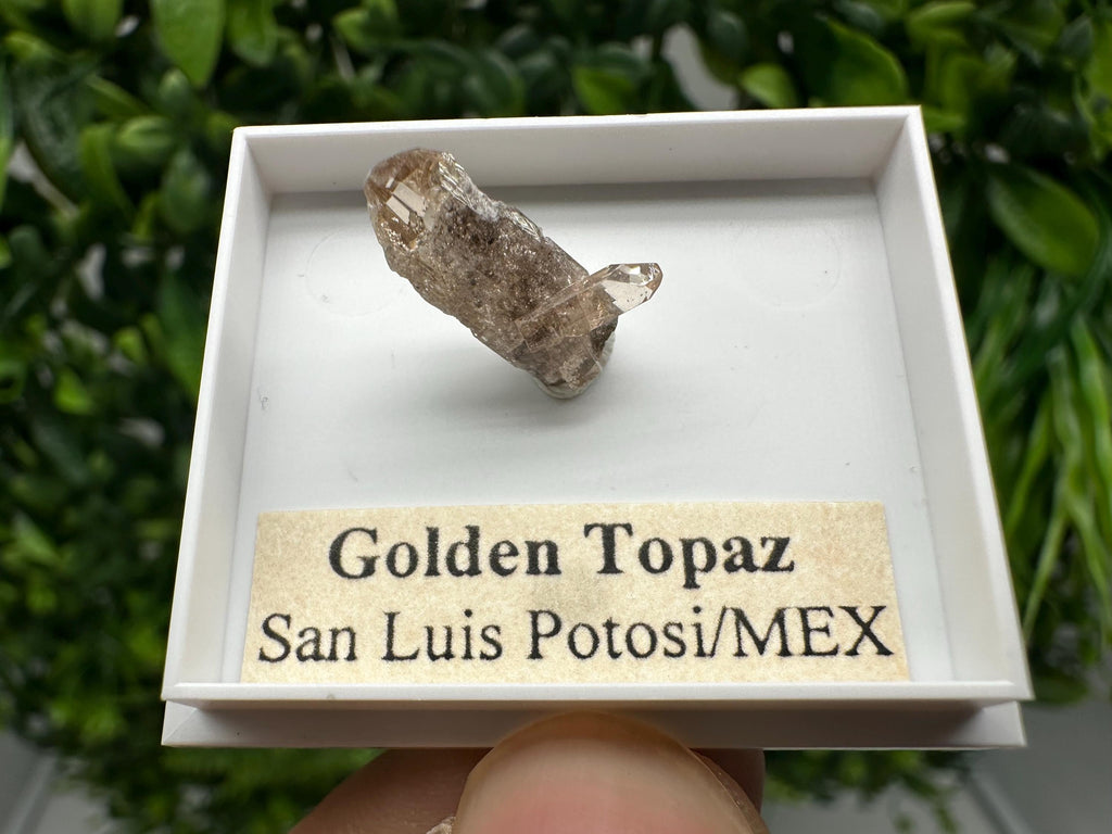 Beautiful Golden Topaz from Mexico,collection piece Crystal,Mineral,collectibles,Collectors, Natural Crystal, Minerals from Mexico,original,