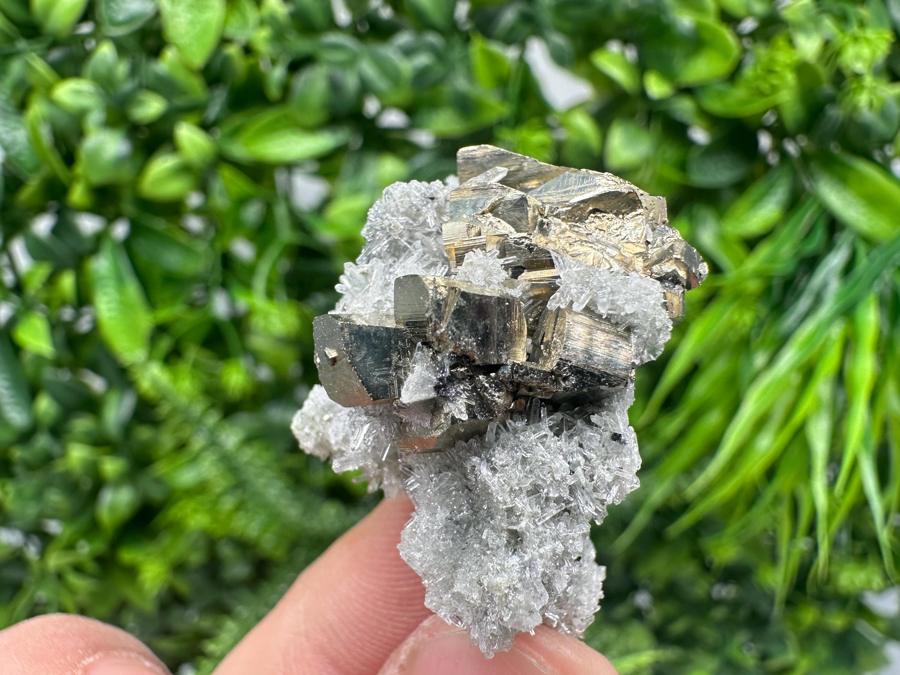 Pyrite on Green Quartz Mineral Specimen from Borieva Mine, Bulgaria