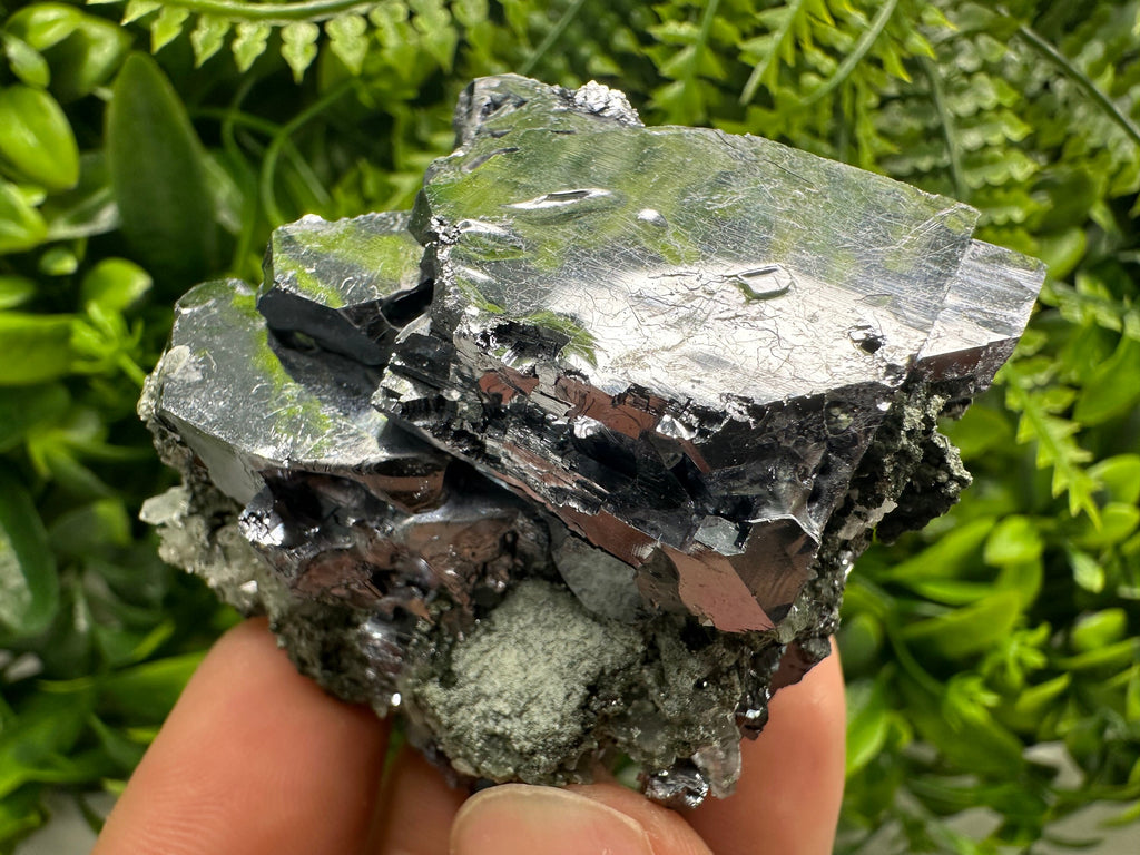 Mirror Galena on Quartz with Chlorite, Borieva Mine, Bulgaria