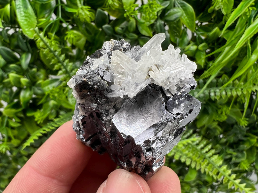 Pyrite Galena Sphalerite Quartz Specimen, Borieva Mine Bulgaria