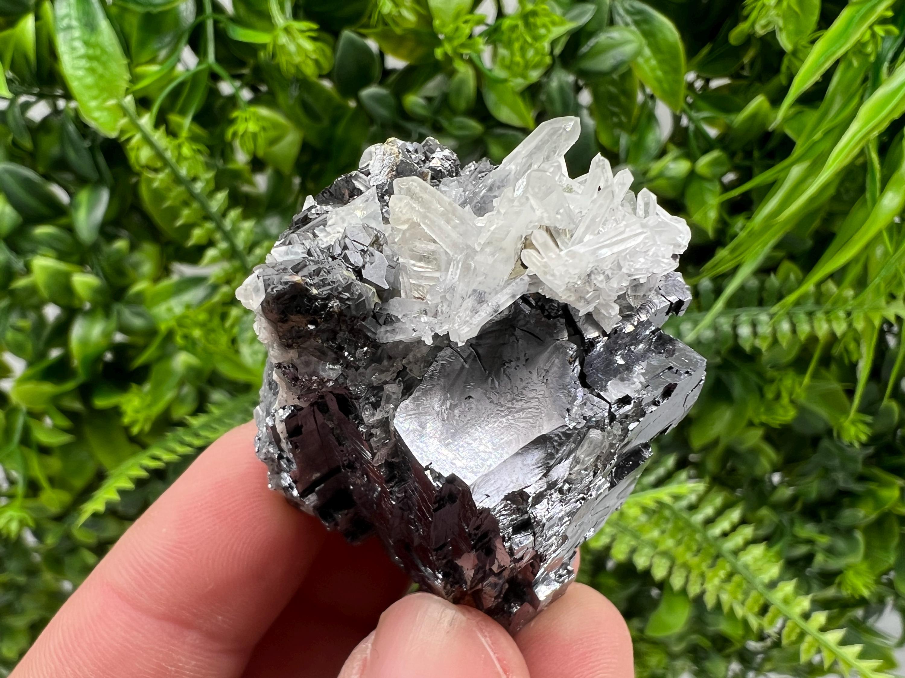 Pyrite Galena Sphalerite Quartz Specimen, Borieva Mine Bulgaria