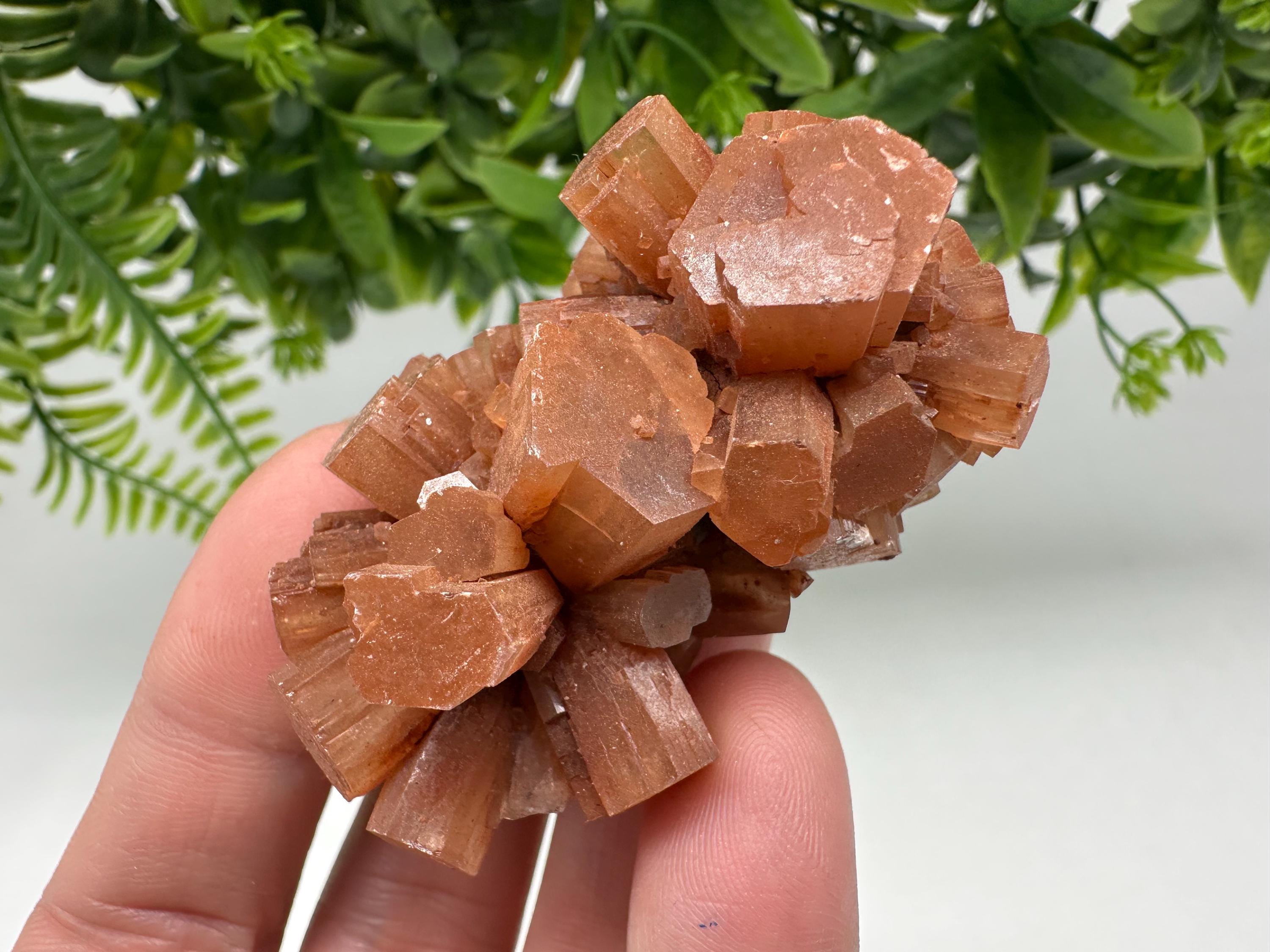 Aragonite Sputnik Cluster: Raw Moroccan Crystal Stone, Home Decor