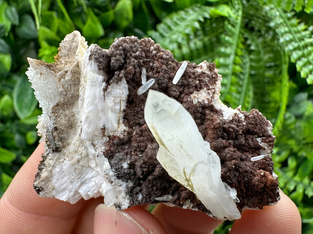 Quartz with Chlorite on Rhodochrosite and Siderite Mineral Specimen