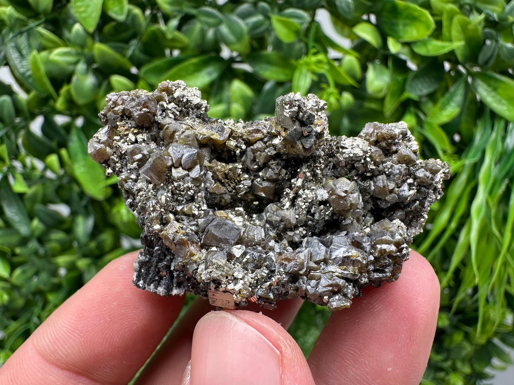 Sphalerite GEM Cleiopfane on Pyrite, Rare Crystal Mineral Stone