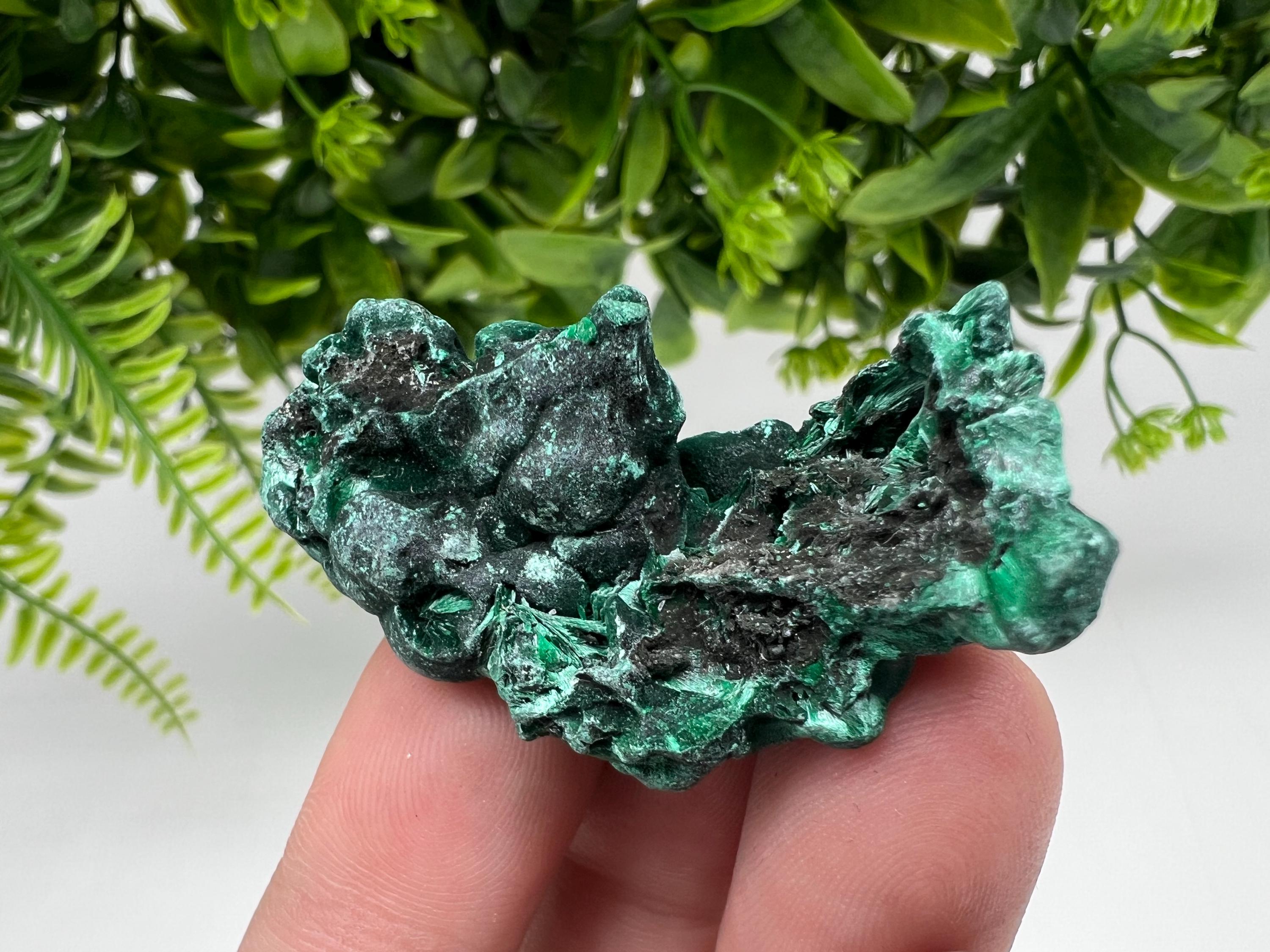 Malachite Crystal from Congo,Minerals,Crystals from Congo,Green Malachite, Malachite,Natural Malachite,Malachite Stone,Chakra, Specimens