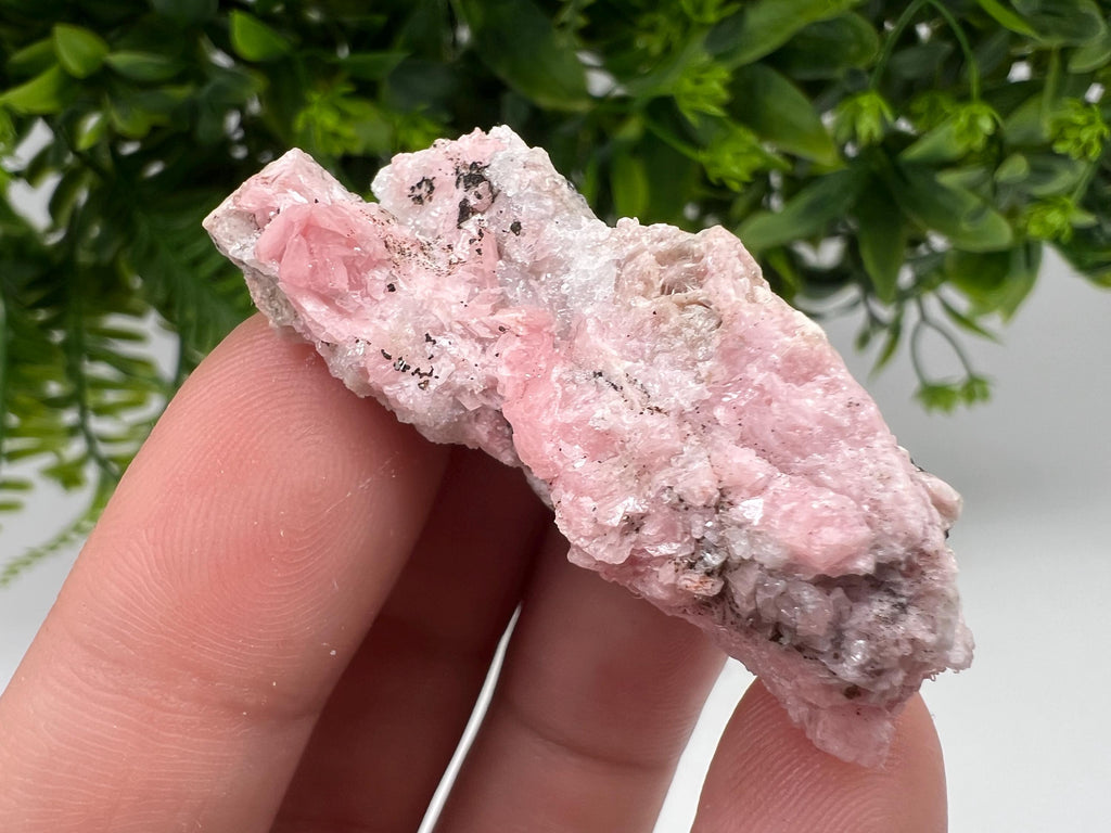 Beautiful Rhodochrosite on Quartz,pink minerals,Starnica Mine,Davidcovo,Bulgaria natural minerals,collection crystal,gift home decor,collec