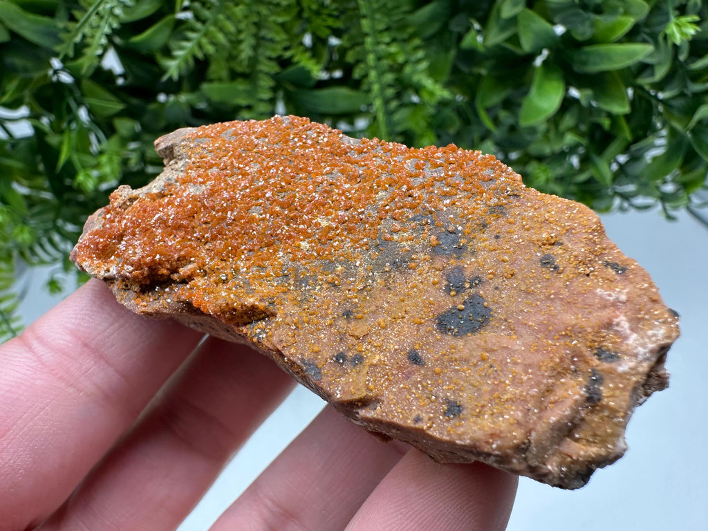 Red Vanadinite on Matrix from Marocco,crystal minerals Speciment cluster Vanadinite crystal Vanadinite Geology Vanadinite cluster minerals