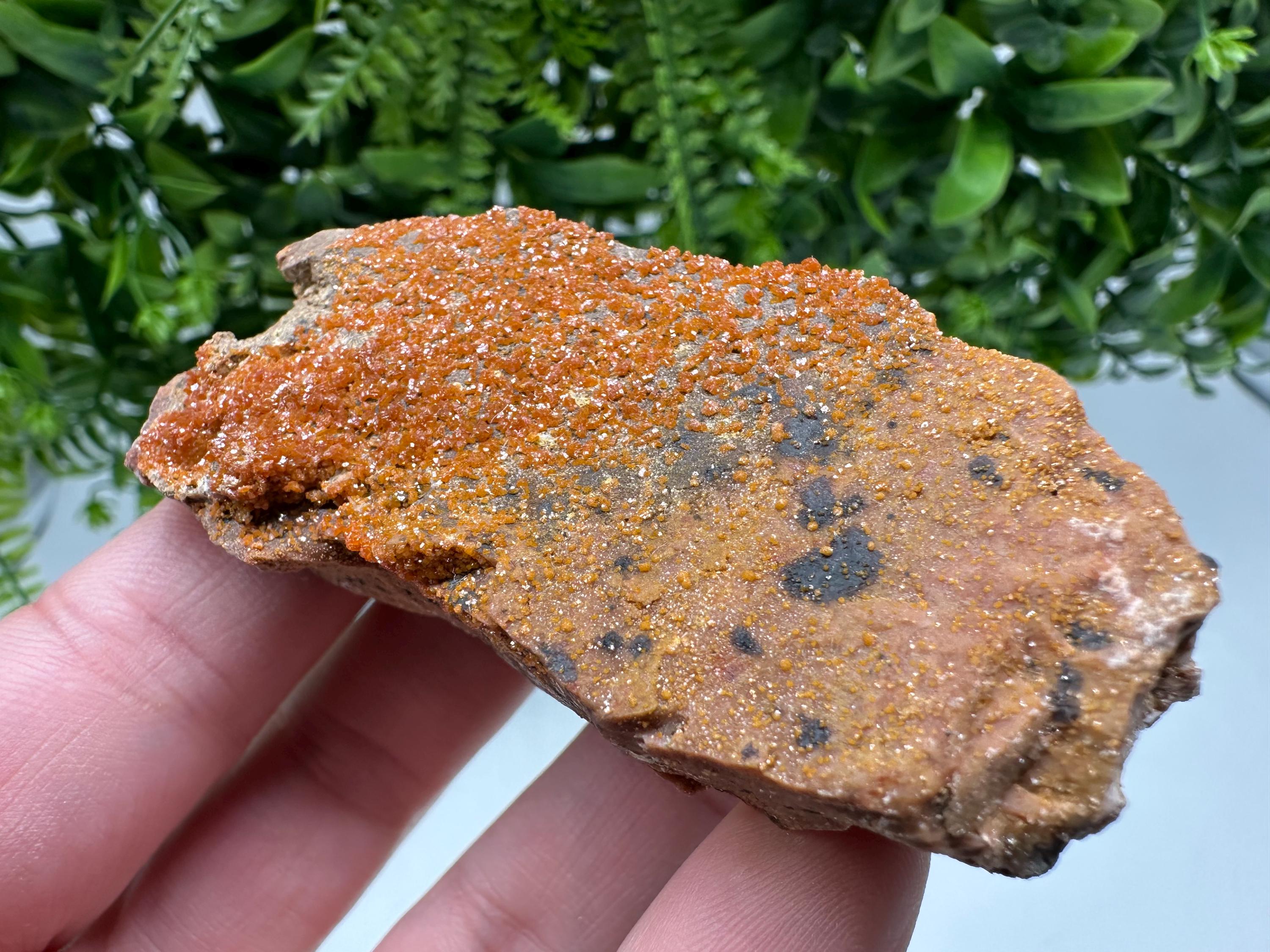 Red Vanadinite on Matrix from Marocco,crystal minerals Speciment cluster Vanadinite crystal Vanadinite Geology Vanadinite cluster minerals