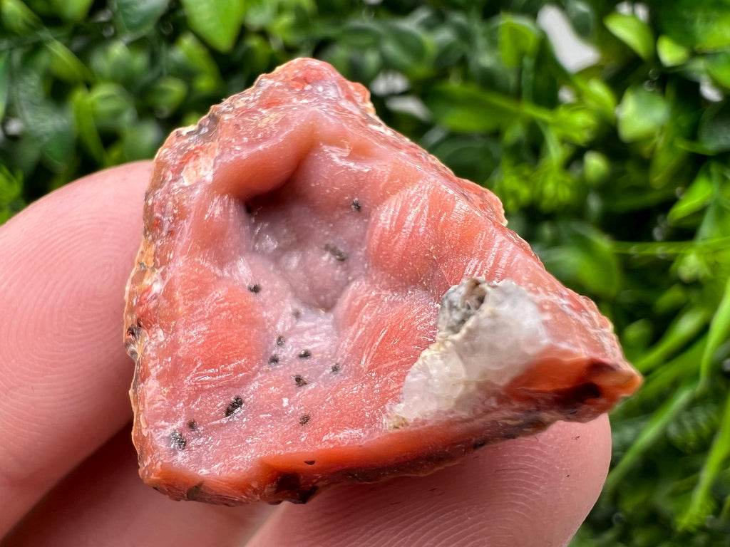 Red Chalcedony Crystal, Moroccan Mineral Specimen, Souvenir Gift