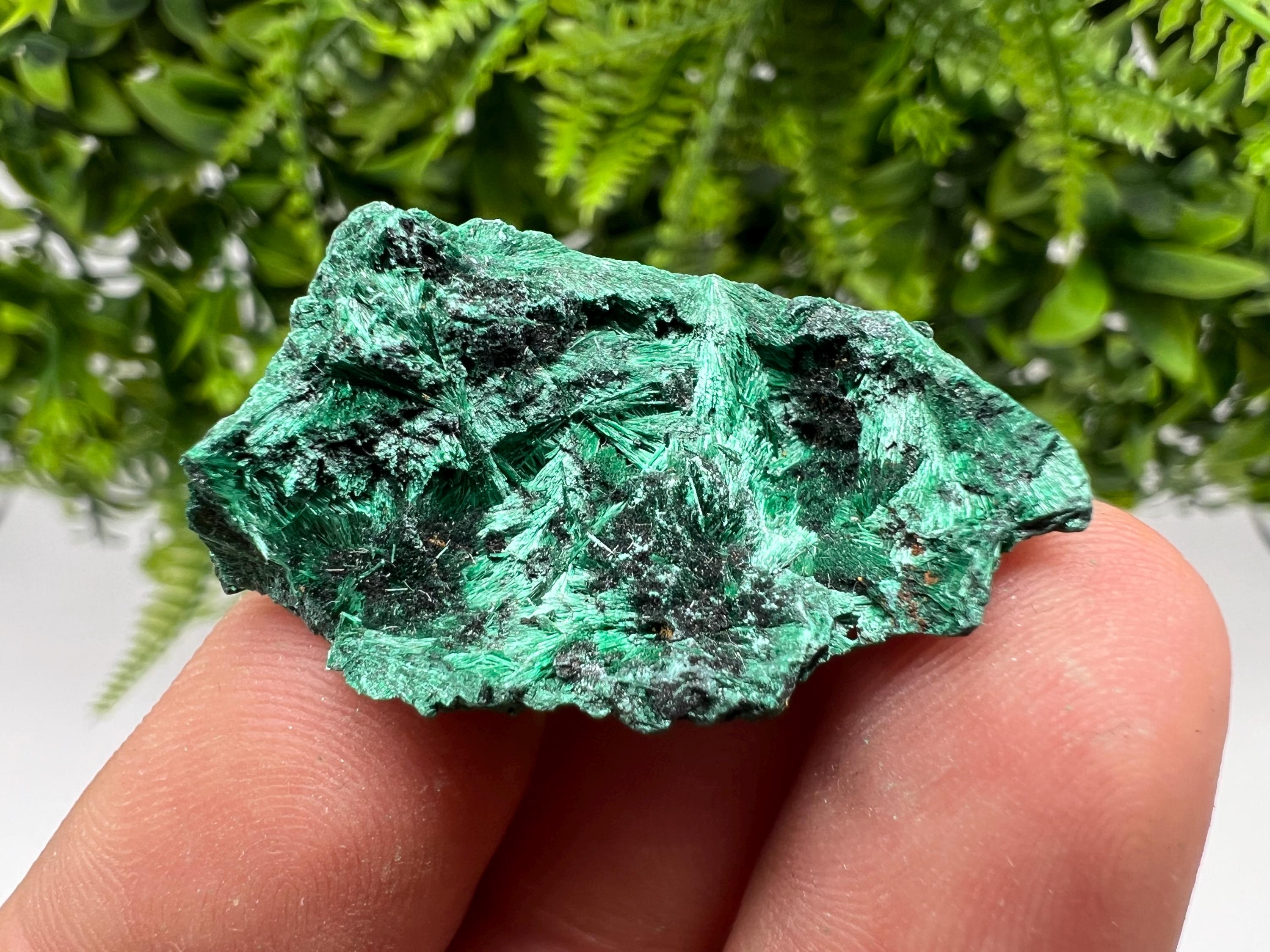 Malachite Crystal from Congo,Minerals,Crystals from Congo,Green Malachite, Malachite,Natural Malachite,Malachite Stone,Chakra, Specimens