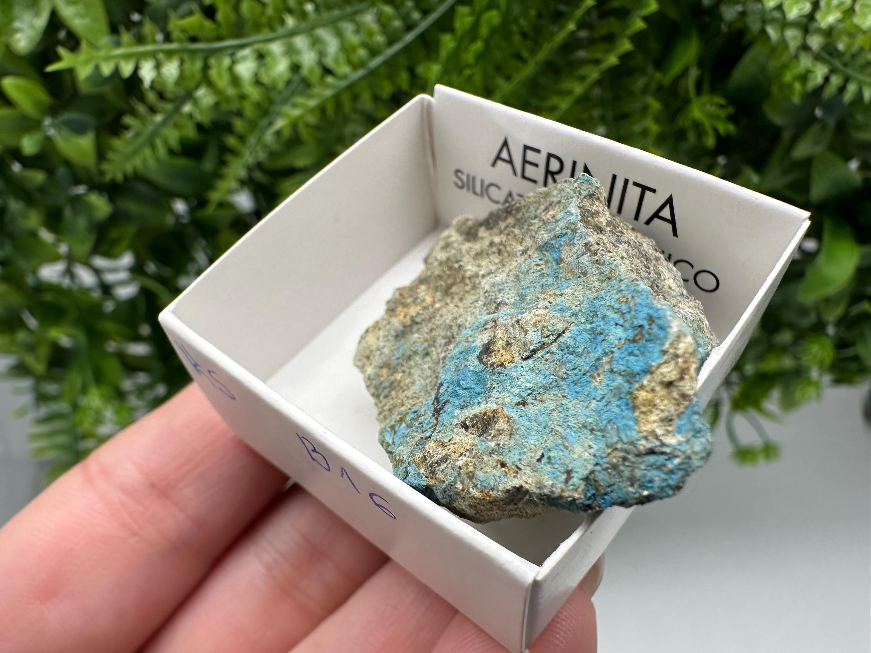 Rare Raw Aerinite Mineral Specimen: Lleida, Spain Crystal