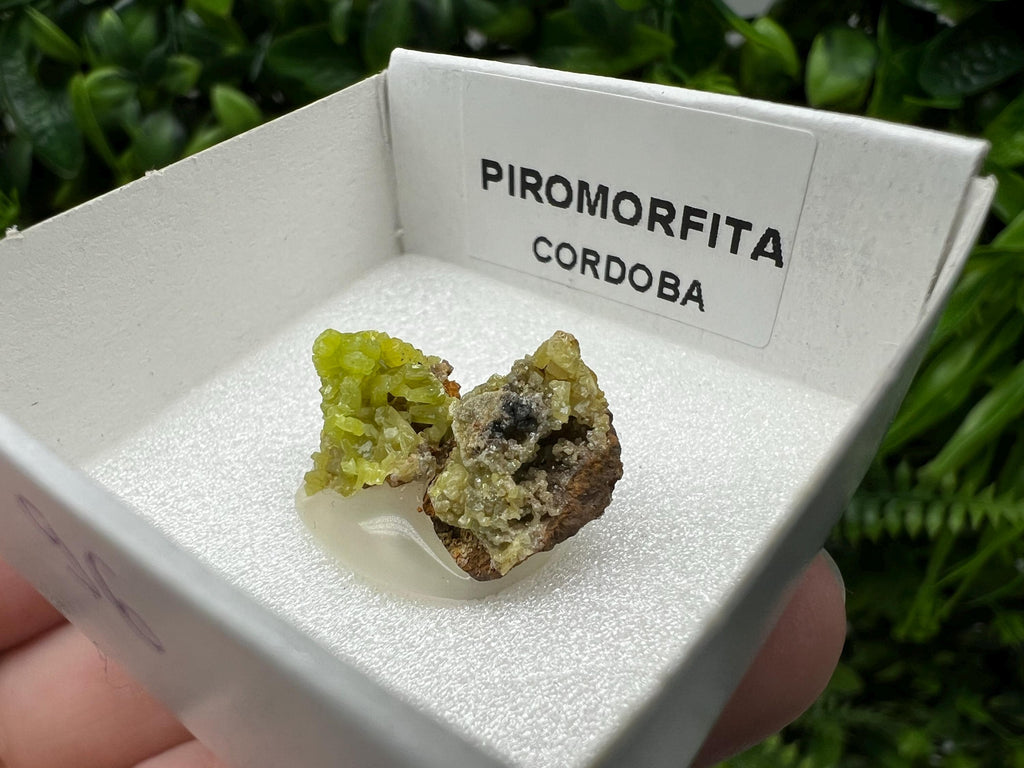 Pyromorphite Stone / Pyromorphite on Matrix / Pyromorphite Crystal / Raw Crystal / Pyromorphite Cluster / Rough Pyromorphite / Pyromorphite