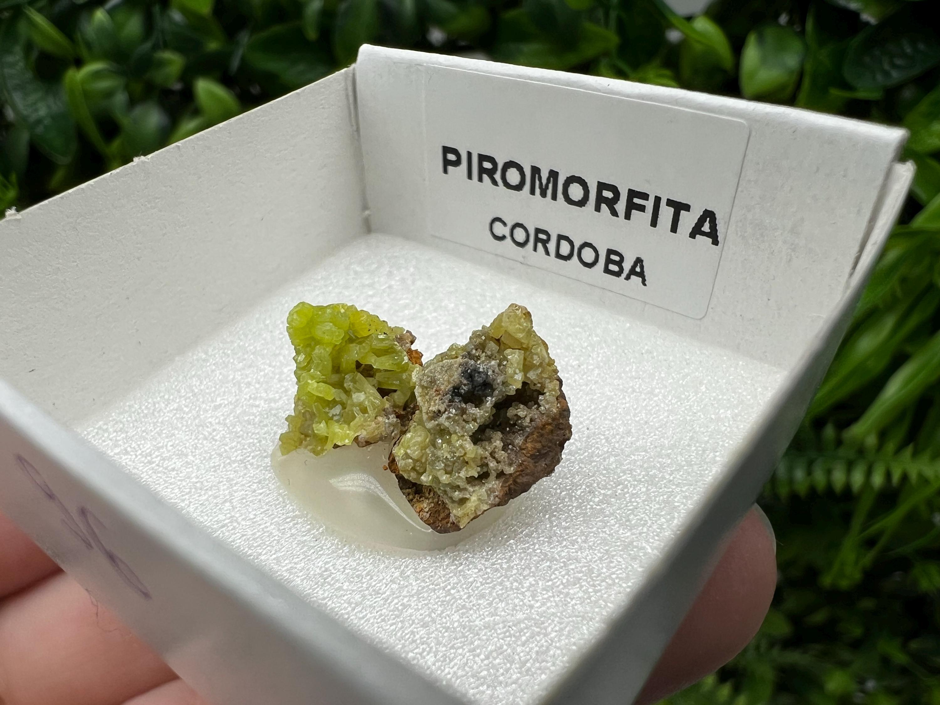 Pyromorphite Stone / Pyromorphite on Matrix / Pyromorphite Crystal / Raw Crystal / Pyromorphite Cluster / Rough Pyromorphite / Pyromorphite