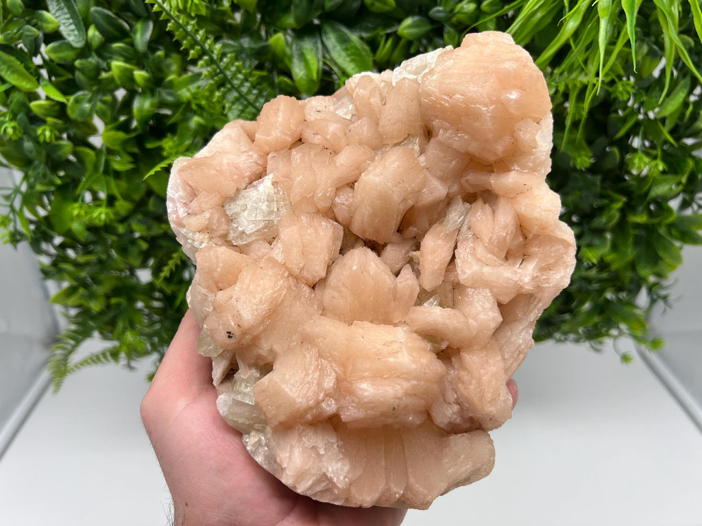 Apophyllite Stilbite on Chalcedony, India Crystal Specimen