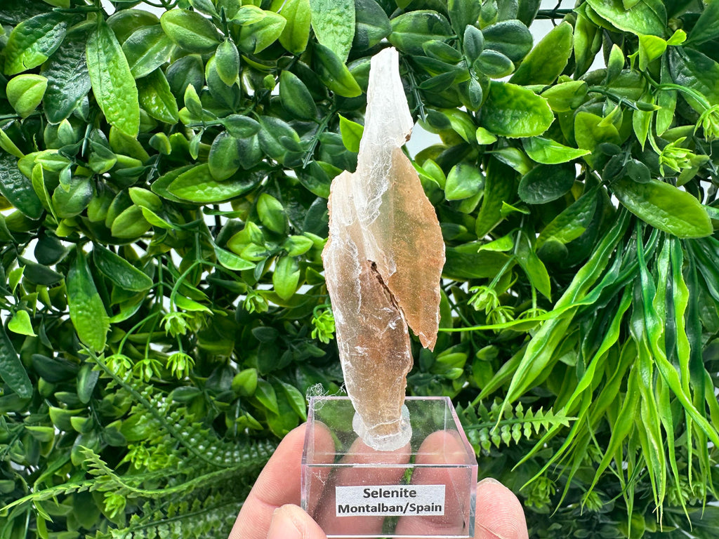Golden Phantom Selenite Slab: Raw Utah Fishtail Selenite Wand