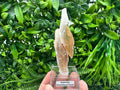 Golden Phantom Selenite Slab: Raw Utah Fishtail Selenite Wand