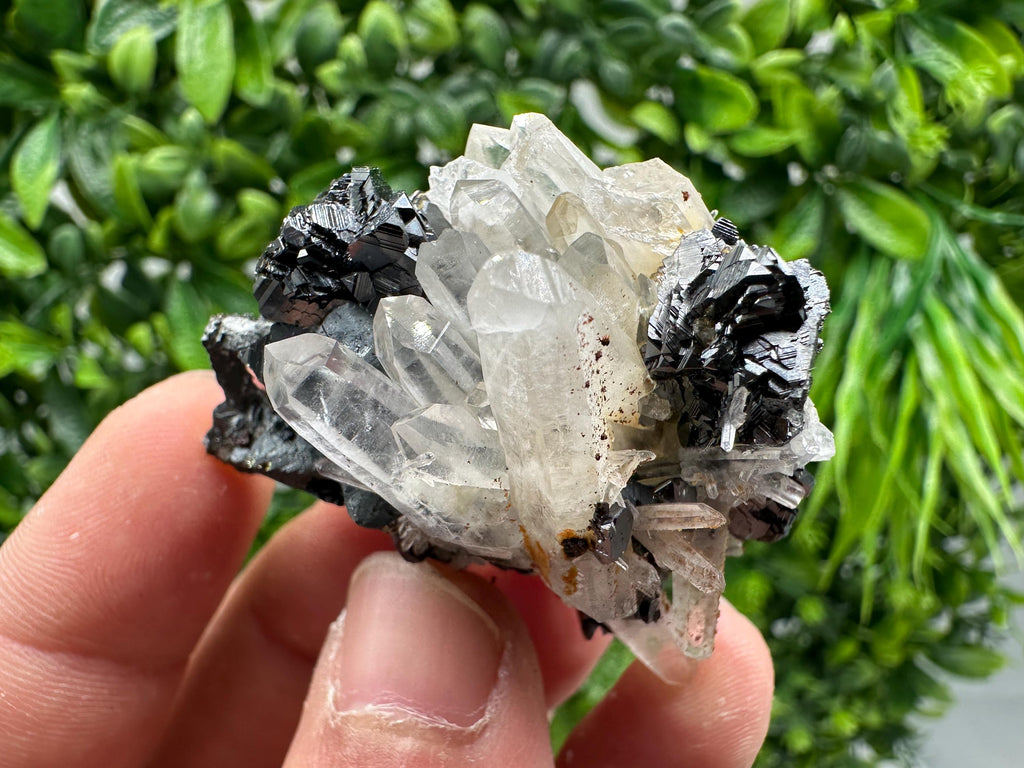 Wonderful Sphalerite Chalcopyrite on  Quartz whit Galena feom 9 th September mine,Bulgaria,natural,collection mineral specimen,gift