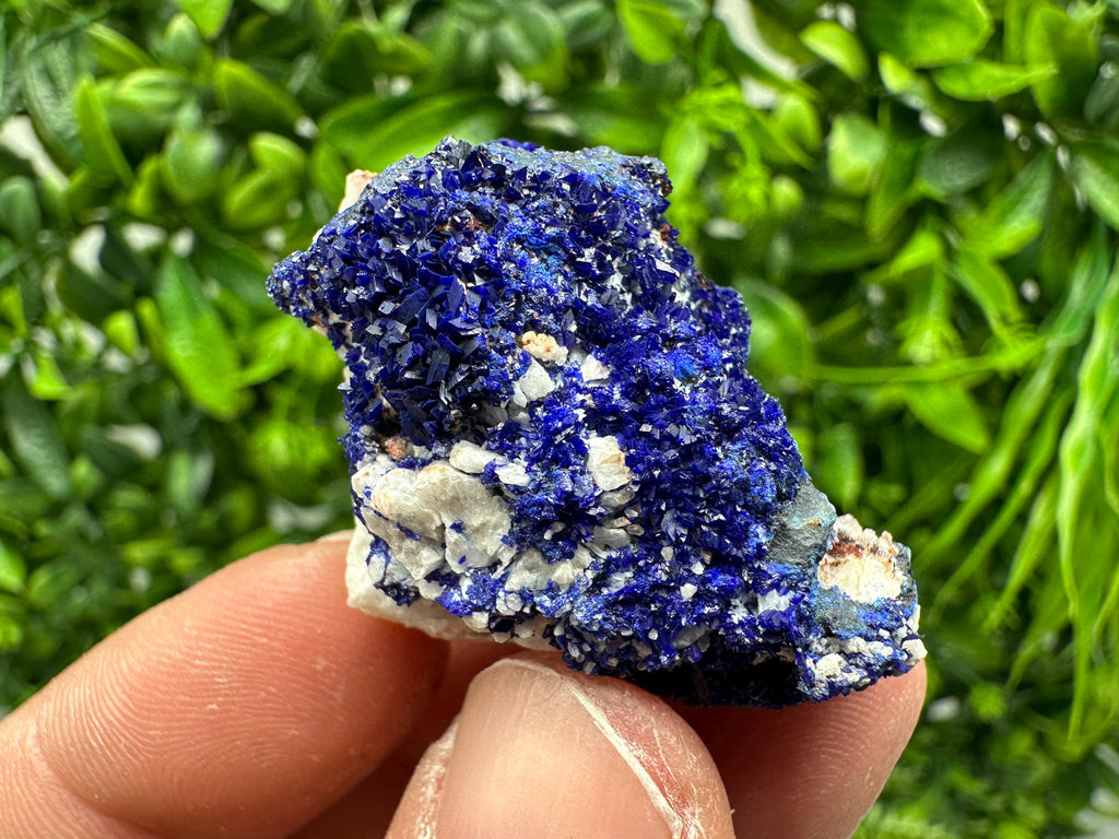 Crystallized Azurite-Kerrouchen,Morocco-Blue Azurite Specimen-High Quality Blue Azurite-Azurite Mineral Specimen, gemmy,lustrous of Azurite