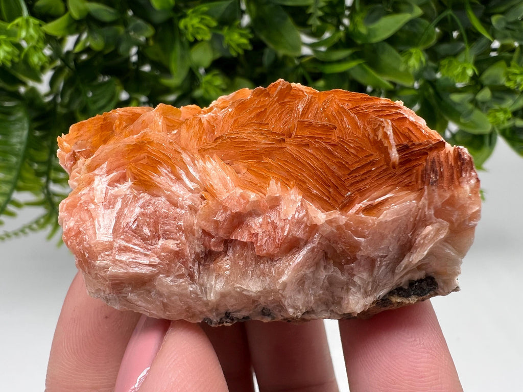 Wonderful Baryte with Cerussite on Galena from Morocco,Crystal, Mineral,Specimen,Cluster,Crystals,Barite Crystal,Cerussite Crystal,Specimen