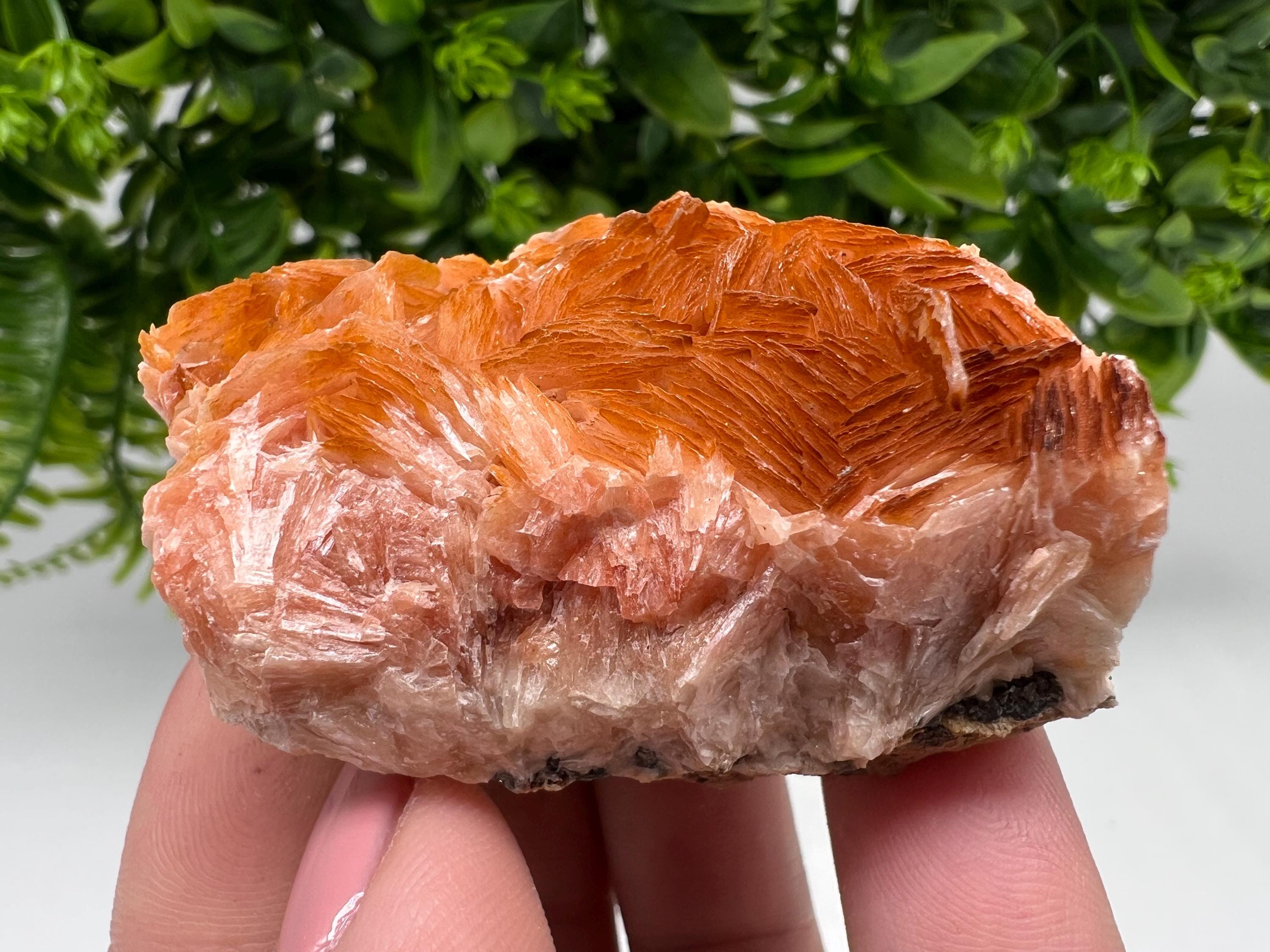 Wonderful Baryte with Cerussite on Galena from Morocco,Crystal, Mineral,Specimen,Cluster,Crystals,Barite Crystal,Cerussite Crystal,Specimen