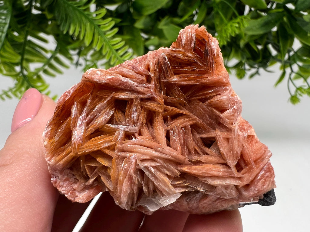Wonderful Baryte with Cerussite on Galena from Morocco,Crystal, Mineral,Specimen,Cluster,Crystals,Barite Crystal,Cerussite Crystal,Specimen