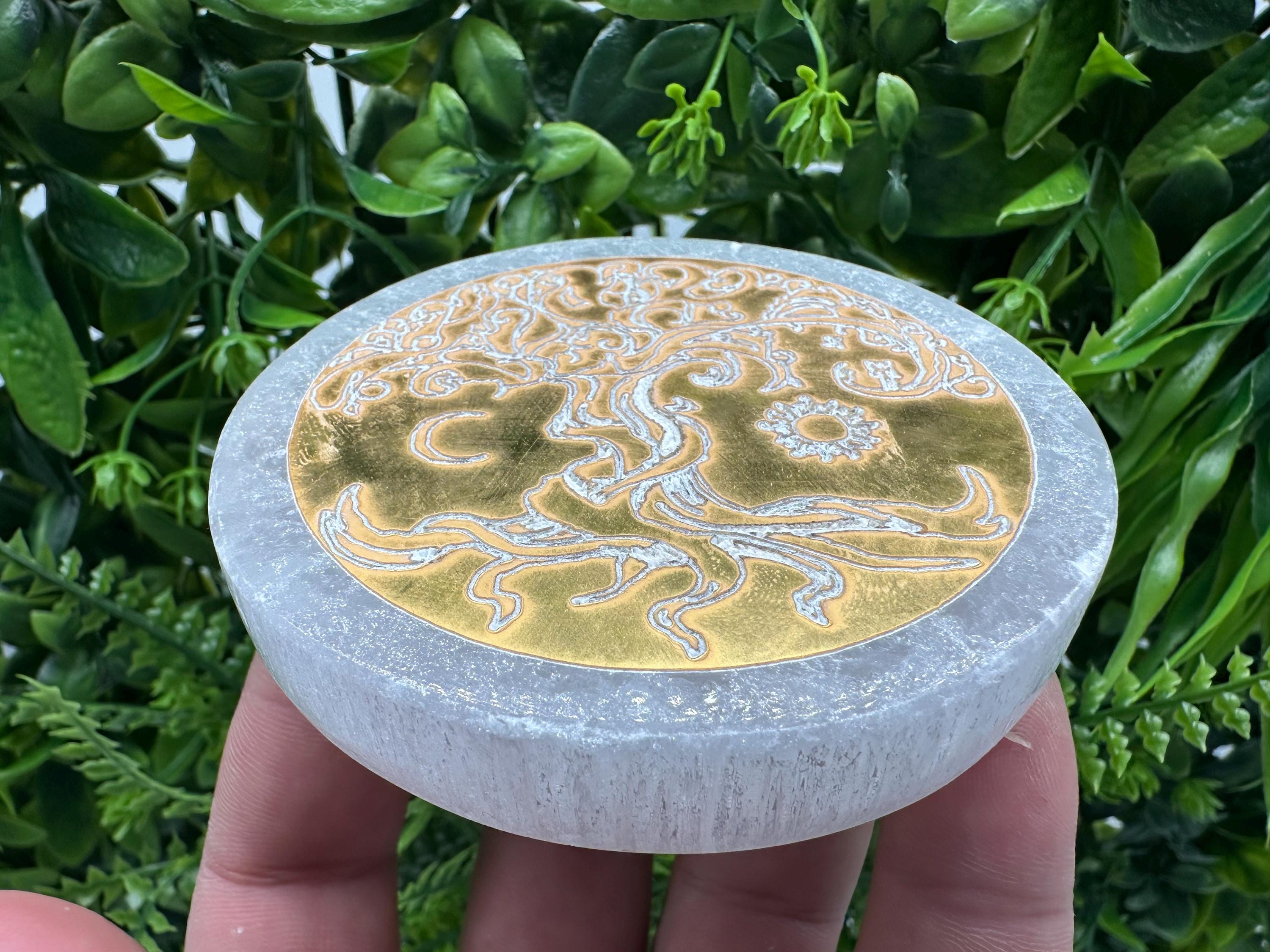 Tree of Life Selenite Plate: Crystal Recharging Station (8/8cm)