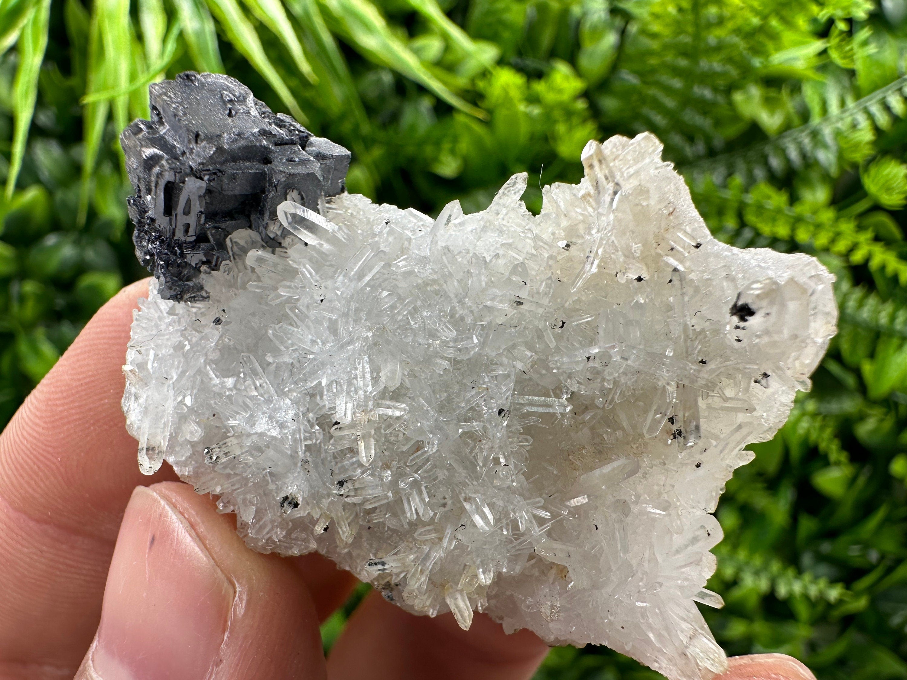 Galena on Quartz, Natural Crystal Mineral Specimen