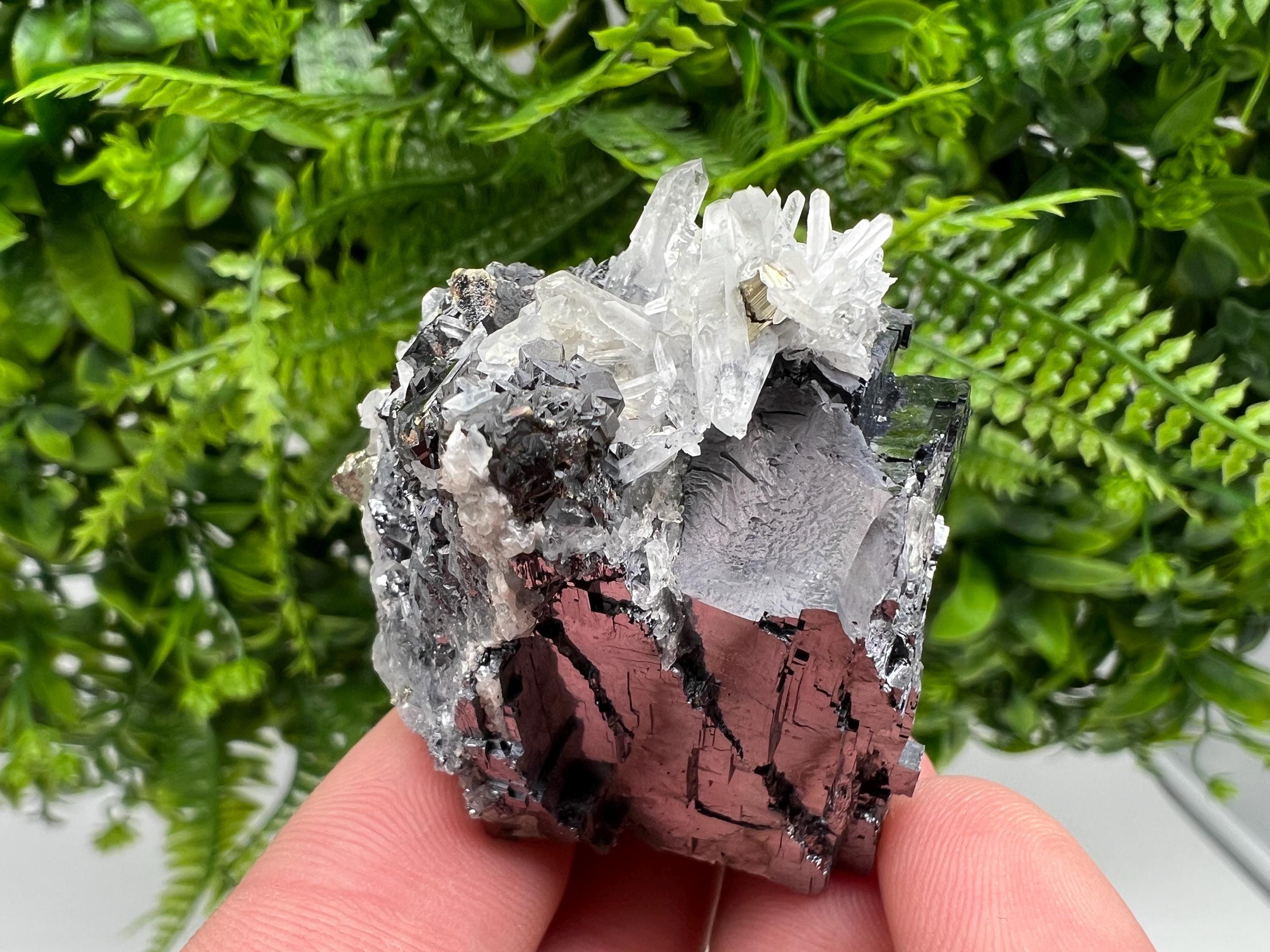 Pyrite Galena Sphalerite Quartz Specimen, Borieva Mine Bulgaria